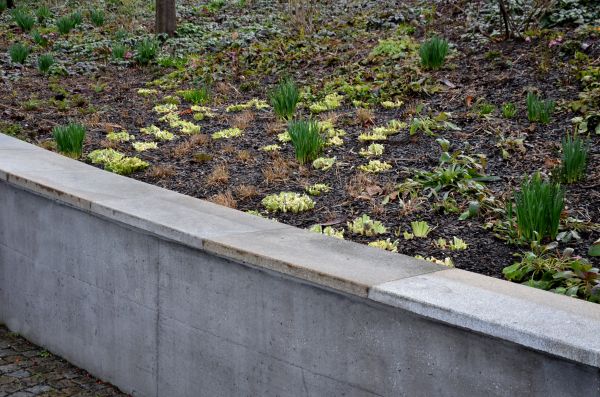 Concrete Wall Construction in Plainfield