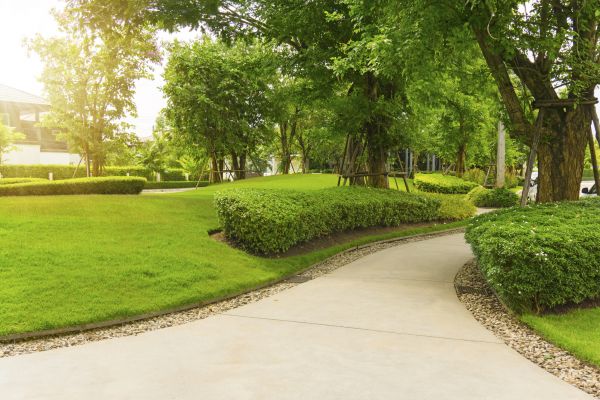 Walkway Concrete Installation in Plainfield