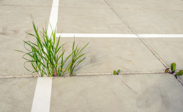 Concrete Parking Installation in Plainfield