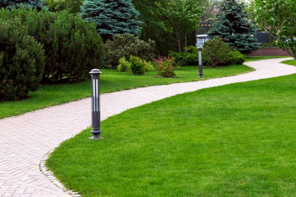 Backyard Sidewalk Installation in Plainfield