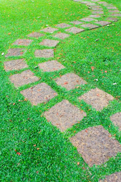 Backyard Pathway Construction in Plainfield