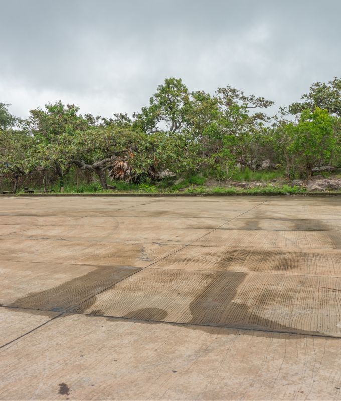 Late Spring and Early Summer