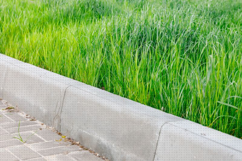 Driveway Curb Construction